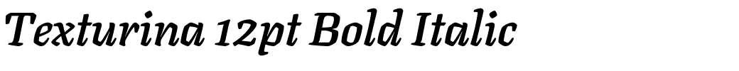 Texturina 12pt Bold Italic