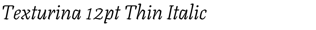 Texturina 12pt Thin Italic