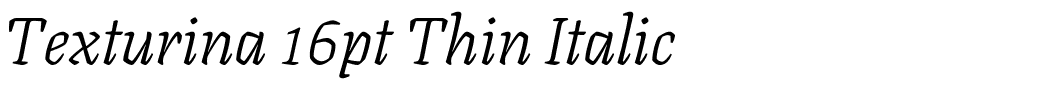 Texturina 16pt Thin Italic