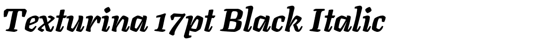 Texturina 17pt Black Italic