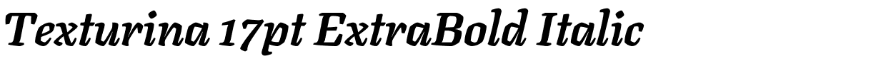 Texturina 17pt ExtraBold Italic