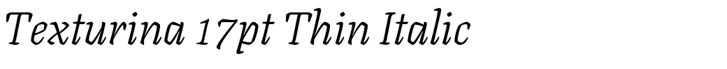 Texturina 17pt Thin Italic