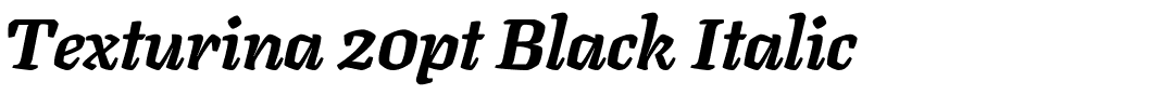 Texturina 20pt Black Italic