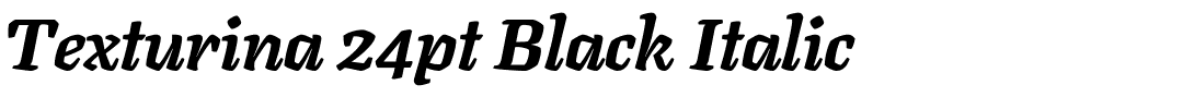 Texturina 24pt Black Italic