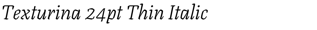 Texturina 24pt Thin Italic