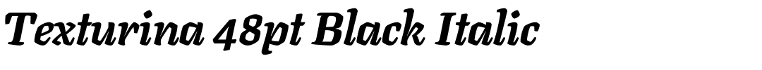 Texturina 48pt Black Italic