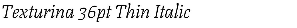 Texturina 36pt Thin Italic.ttf