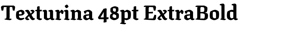 Texturina 48pt ExtraBold.ttf