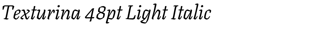 Texturina 48pt Light Italic.ttf