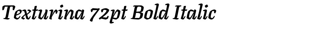 Texturina 72pt Bold Italic.ttf