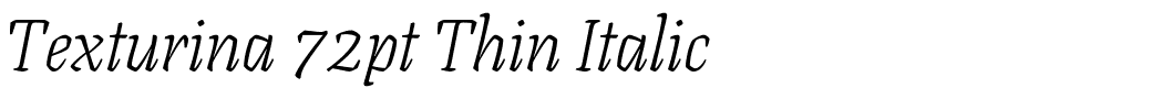 Texturina 72pt Thin Italic.ttf