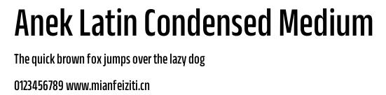 Anek Latin Condensed Medium